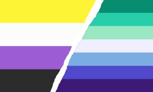 Fusion der Pride-Flaggen Nicht-Binär und Schwul