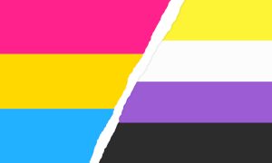 Fusion der Pride-Flaggen Pansexualität und Non-Binary
