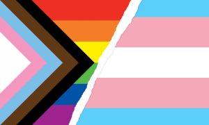 Fusion der Pride-Flaggen Queer und Transsexuell