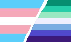 Fusion der Pride-Flaggen Transsexualität und Schwul