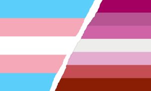 Fusion der Pride-Flaggen Transsexuell und Lesbisch