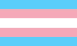 Pride-Flagge von transsexuellen Menschen
